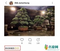 向佐发文新成员报道 疑似暗示郭碧婷怀孕颇有深意
