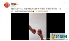 谢娜晒与女儿碰拳 母女俩喊口号好兄弟一辈子画面