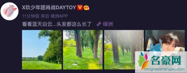 肖战动态
