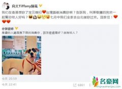 向太安慰郭碧婷 直言宝贝媳妇台湾谁敢消费你