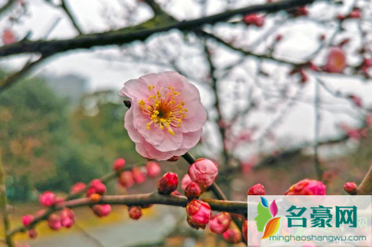 躲春可以洗澡吗1