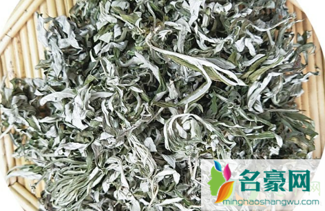 艾叶对男性有壮阳功能么3