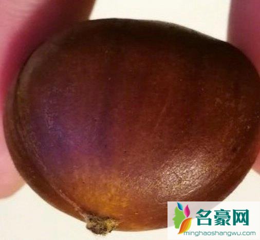 鹿晗栗子发型