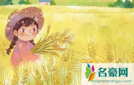 芒种容易得什么病1