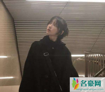 爱情公寓5播出信息 诸葛大力扮演者是谁