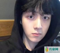 王喆是王思聪的弟弟吗 兄弟俩一个成偶像一个只能