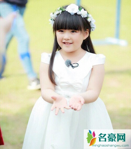 王岳伦女儿英文名 王岳伦女儿照片简介