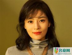 王媛可是哪儿人 详细资料背景曝光走红原因令人意