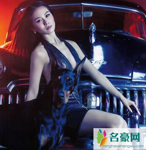 刘诗诗被谁潜规则 刘诗诗被潜规则图片
