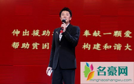 蔡国庆个人演唱会 蔡国庆主持的演唱会