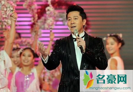 蔡国庆个人演唱会 蔡国庆主持的演唱会