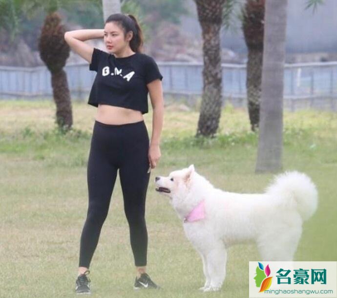 乐基儿造人成功