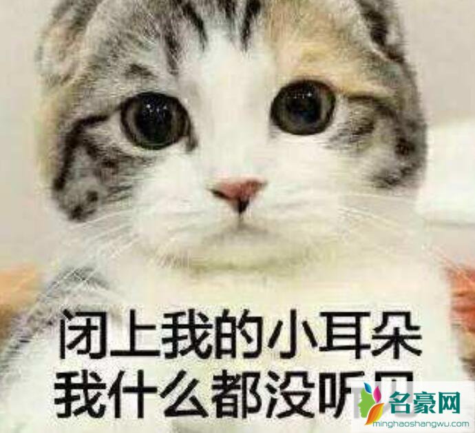闭麦是什么梗