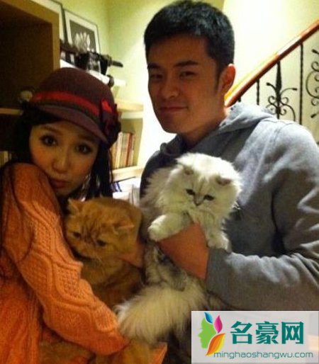 陈赫娄艺潇是情侣吗 陈赫七夕表白娄艺潇