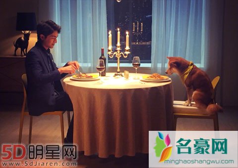 陈赫遛狗反被遛 还是林更新与狗狗相处有一套
