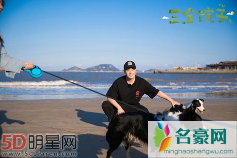 陈赫遛狗反被遛 还是林更新与狗狗相处有一套
