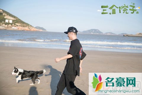 陈赫遛狗反被遛 还是林更新与狗狗相处有一套