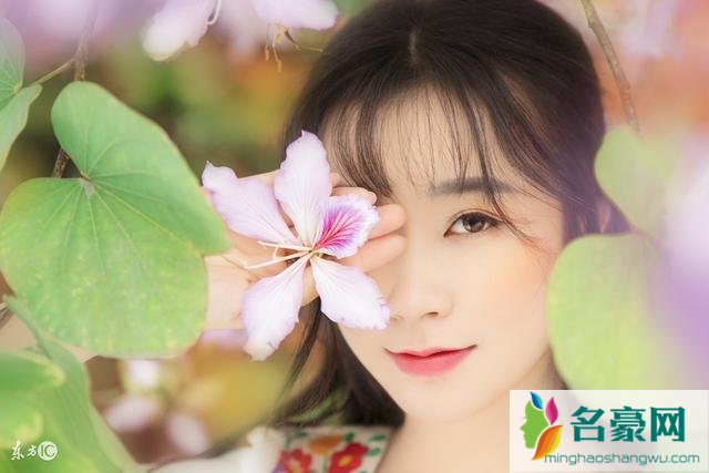 男女情感:为什么会有那么多的单身女孩