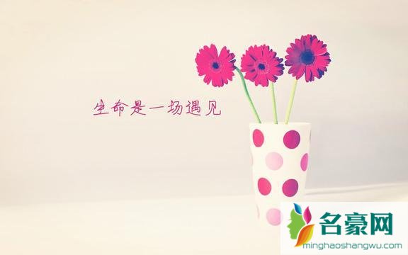 爱你是蓄谋已久,却也是不期而遇的惊喜