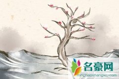 测测他说爱你是不是在耍你