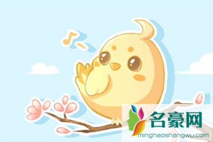 桃花运测试