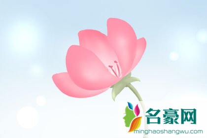 爱情测试