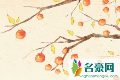 婚姻测试