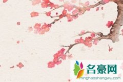 测一测2021年你追求意中人是否顺利
