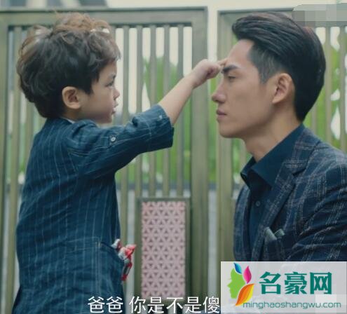 亲爱的柠檬精先生原著小说