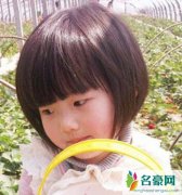 女宝宝童花头发型图片 5款1-3岁女宝宝短发发型童花