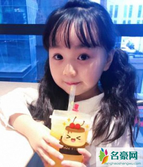 漂亮可爱小女孩发型：双马尾发型