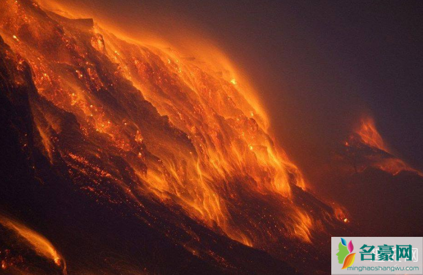 NOAH澳洲火灾限定款亮相 澳大利亚山火怎么样了