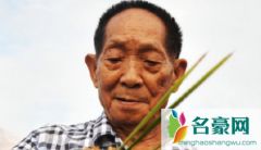 袁隆平是哪里的人啊 为什么袁隆平老人逝世会轰动