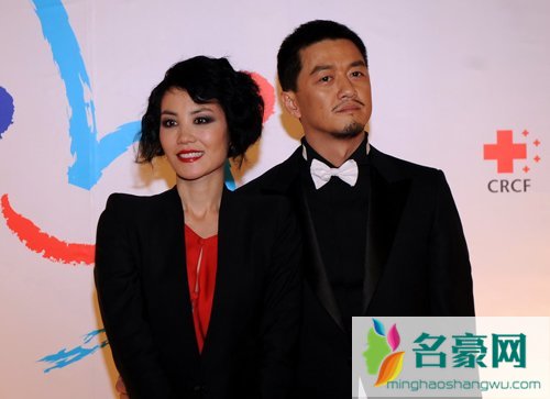 王菲李亚鹏分手原因 王菲李亚鹏离婚时间