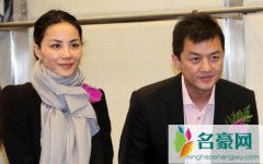王菲李亚鹏分手原因 王菲李亚鹏离婚时间