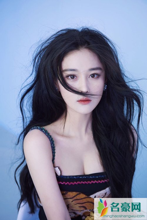 张馨予做过小姐吗 张馨予为什么名声不好