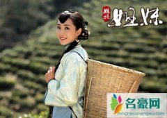 杜若溪主演的电视剧有那些 杜若溪整容前照片