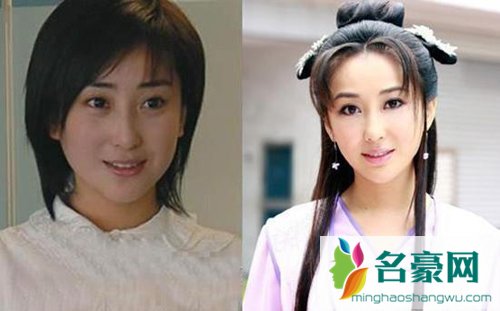 杜若溪主演的电视剧有那些 杜若溪整容前照片