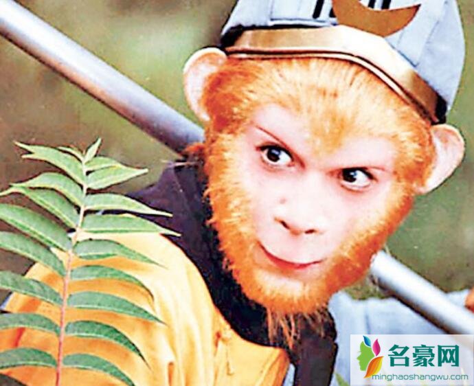 文体两开花什么梗
