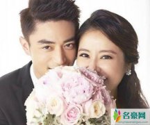霍建华林心如胜诉 霍建华林心如形婚天涯是怎么回