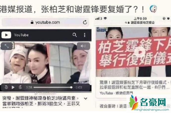 张柏芝谢霆锋复合了吗