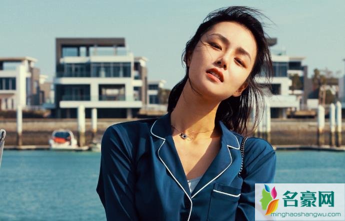 张婉清