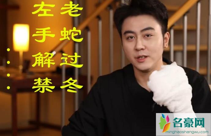 蛇哥为什么又回虎牙了