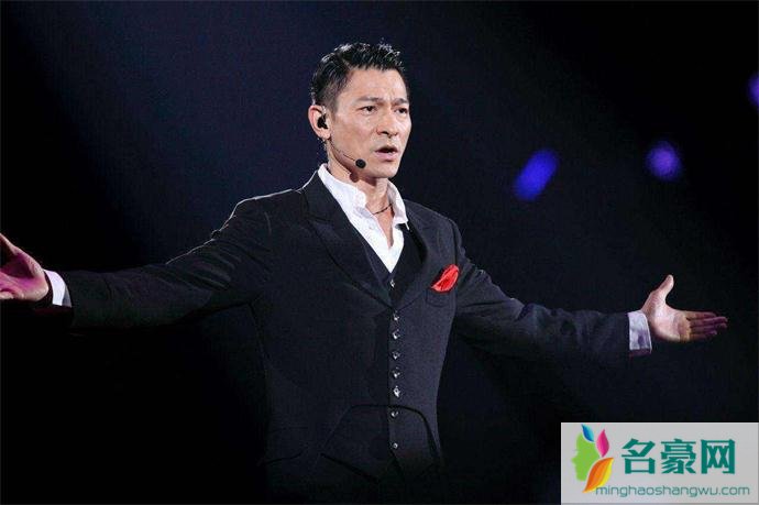 刘德华演唱会