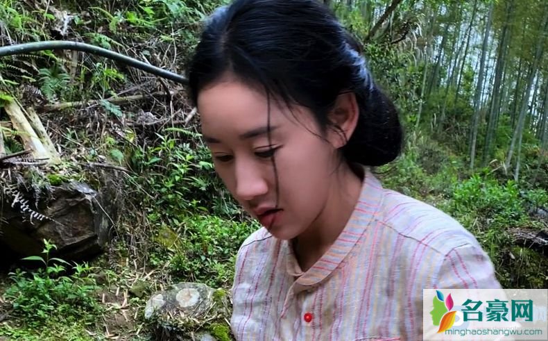 乡愁沈丹