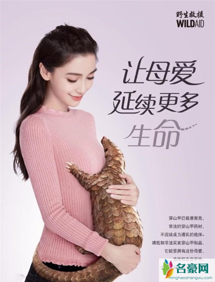 Angelababy公益广告