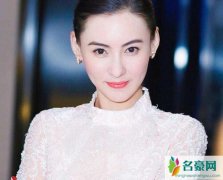 向太嘲讽张柏芝 揭露向太张柏芝不为人知的反目真