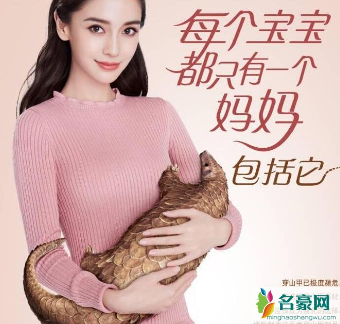 angelababy穿山甲广告惹麻烦