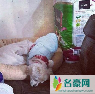 李瑞镇与2PM成员玉泽演拍摄《三时三餐》旌善篇