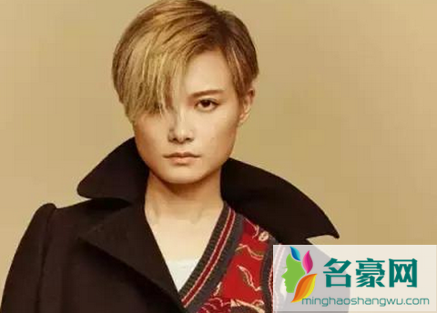李宇春多大年龄 李宇春有多少资产